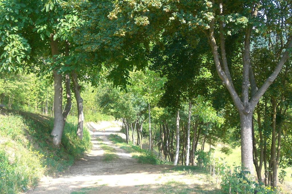 Brisighella Green Wellness Exteriér fotografie